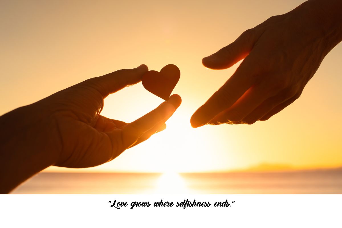 Love is a Sacrifice Quotes: 100+ Unique Quotes to Inspire